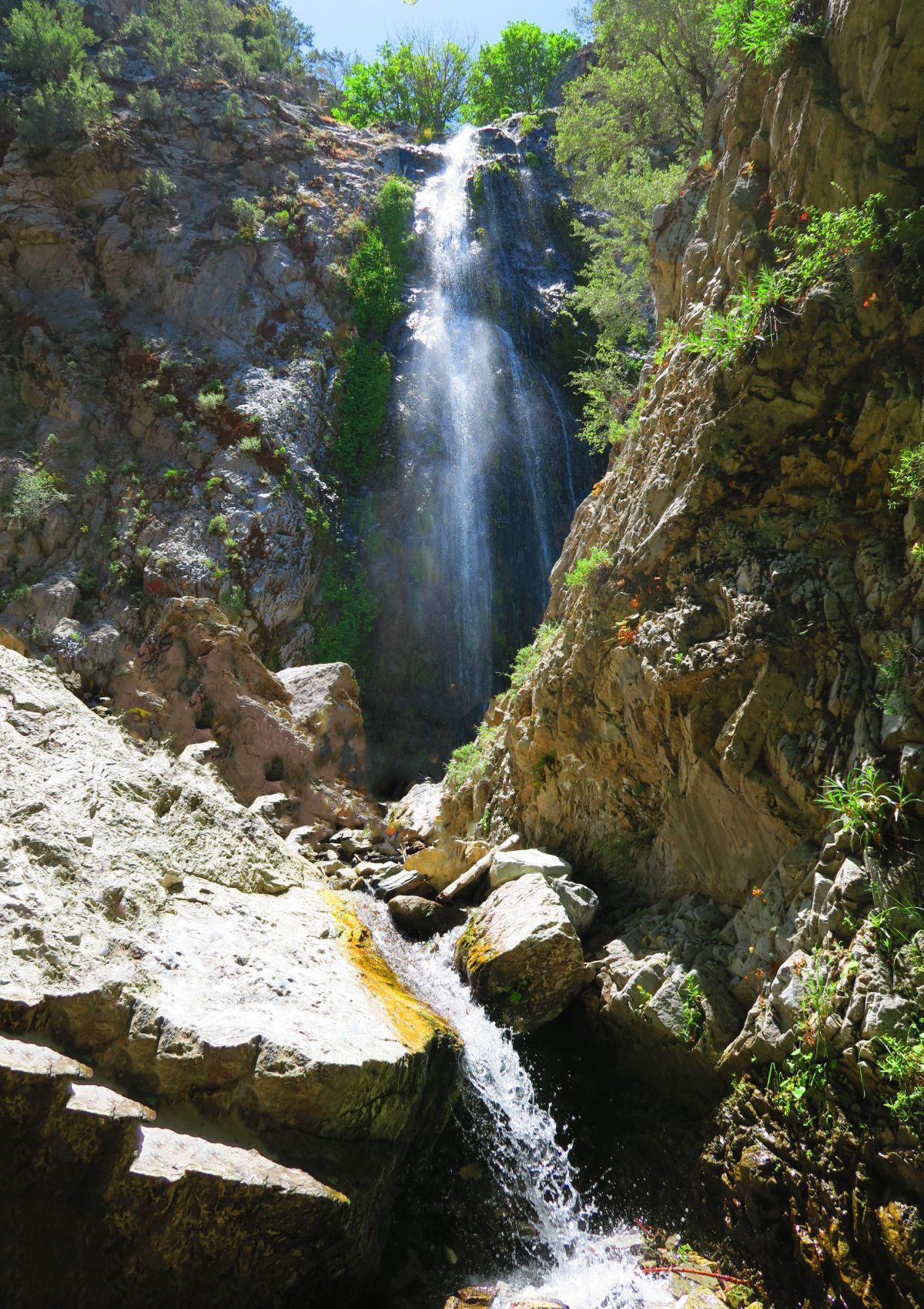 Bonita Falls: 5.23.20