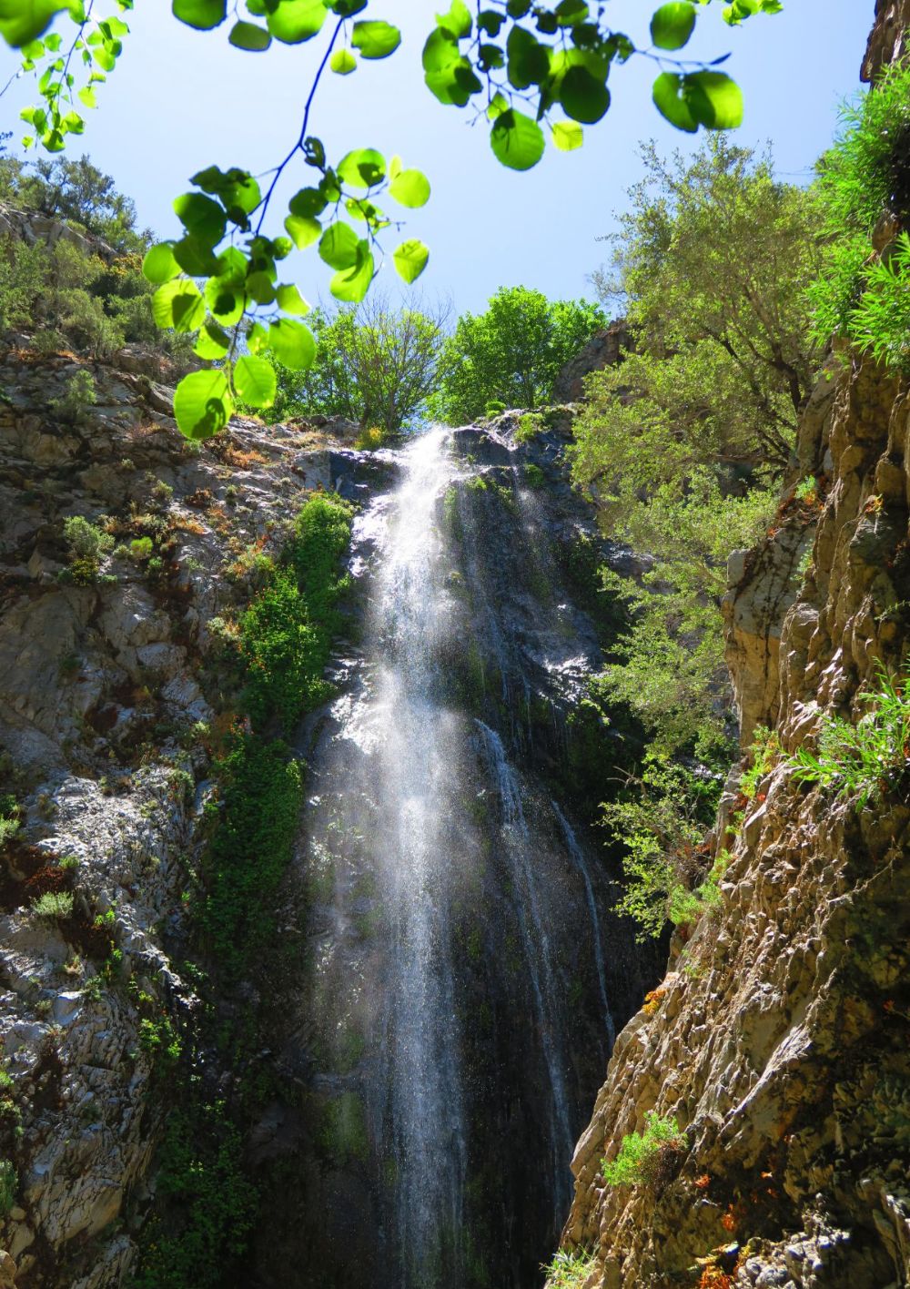 Bonita Falls: 5.23.20