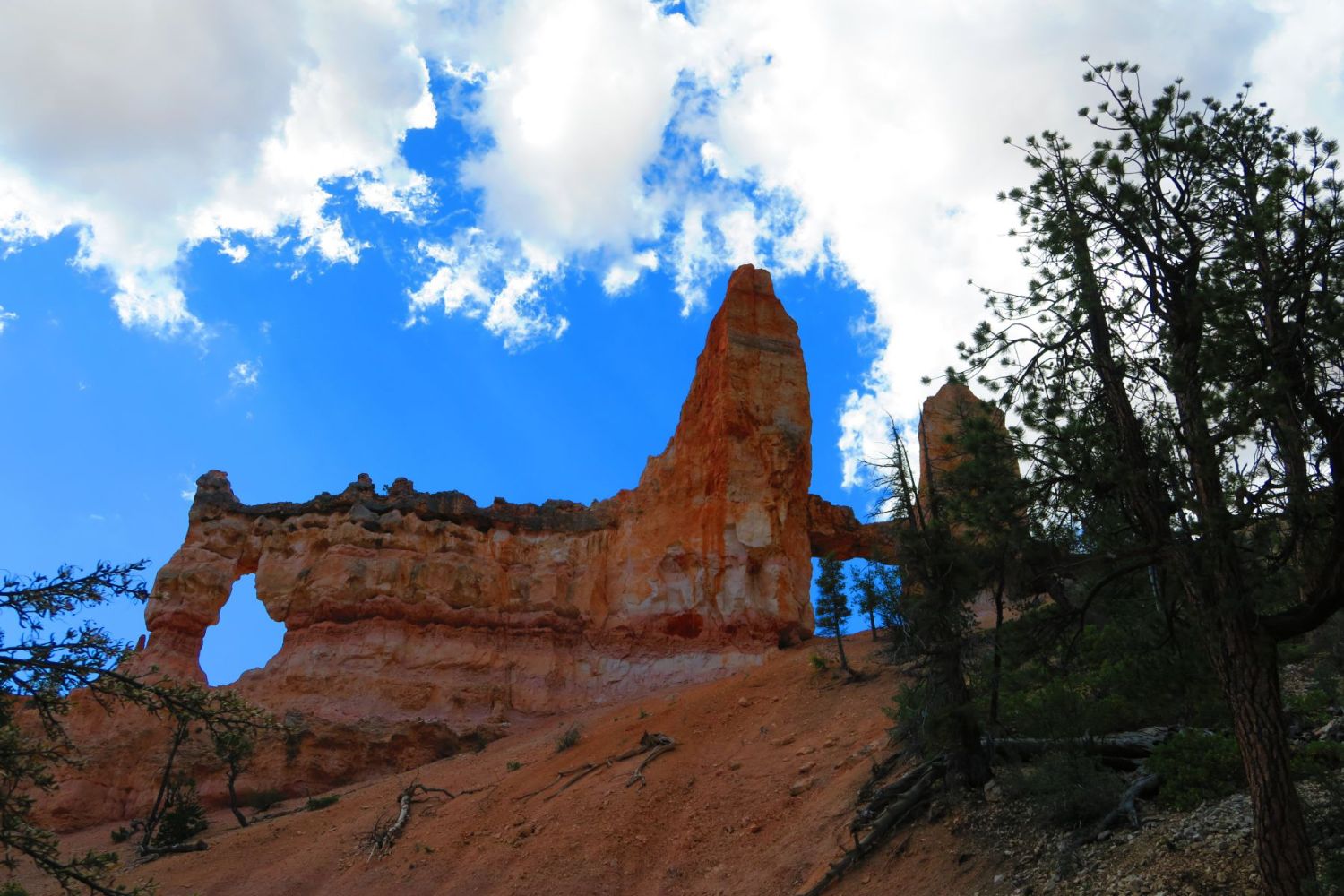 Bryce Canyon: 7.4.20