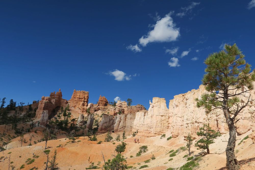 Bryce Canyon: 7.4.20