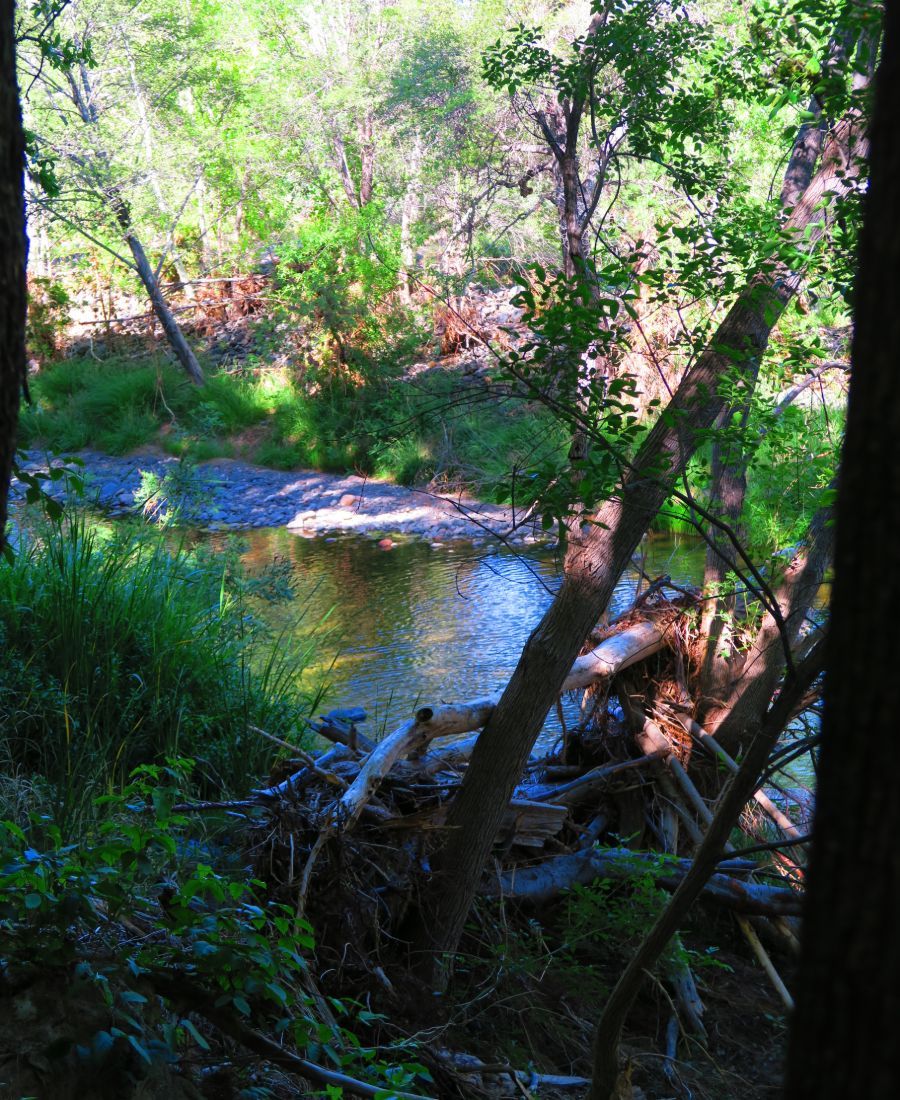 Montezuma's Castle & Montezuma's Well: 6.1.19