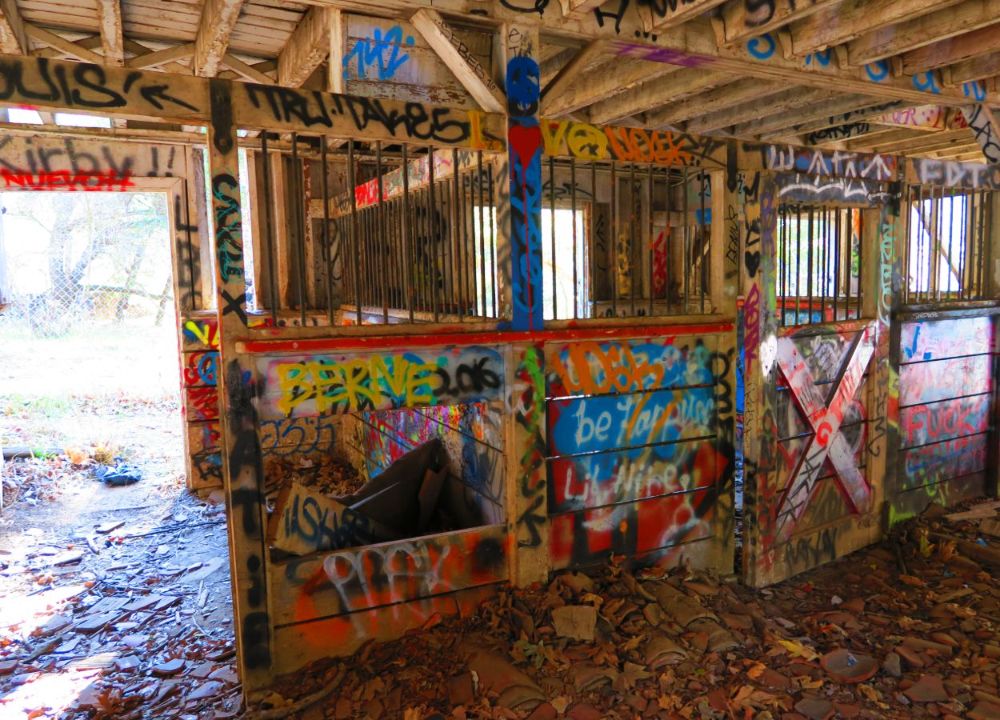 Nazi Ruins at Murphy's Ranch: 12.3.16