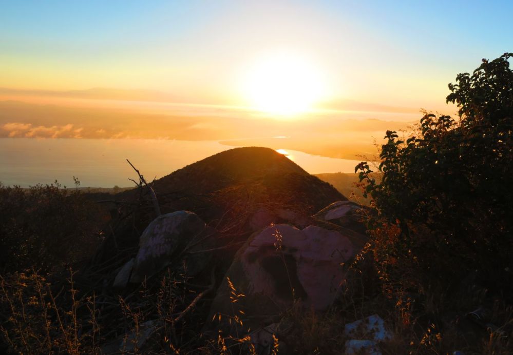 Ortega Lookout: 7.4.18