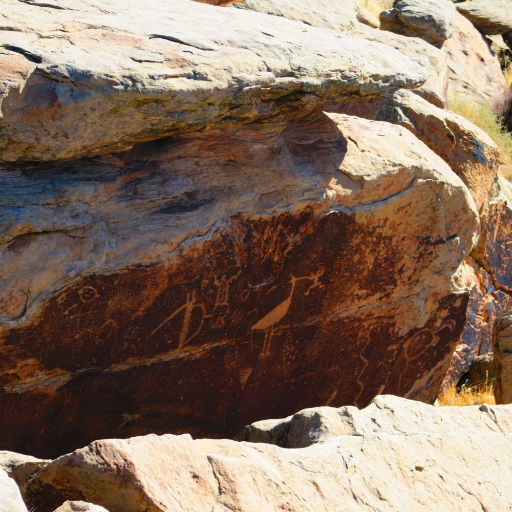 Petrified Forest and Painted Desert: 12.26.19