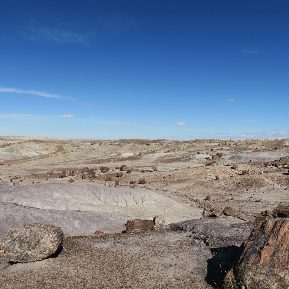 Petrified Forest and Painted Desert: 12.26.19