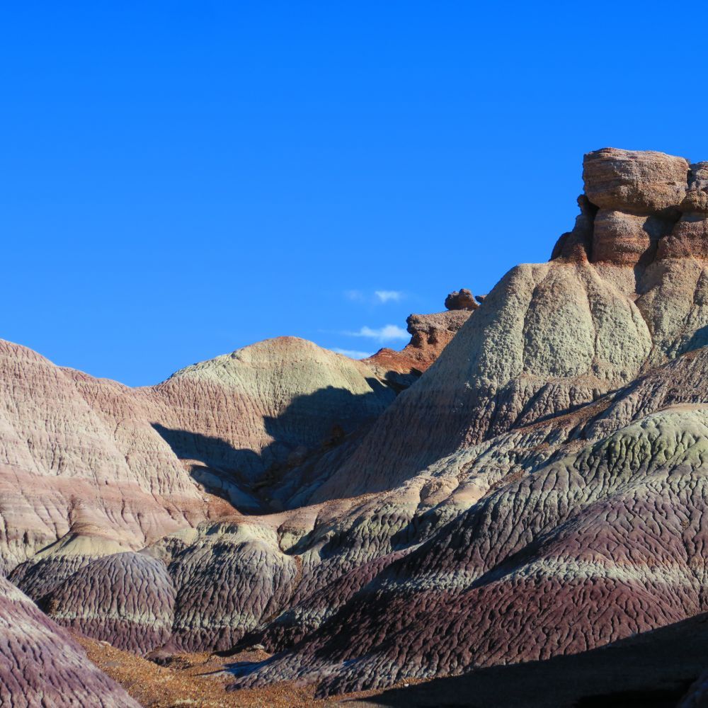 Petrified Forest and Painted Desert: 12.26.19