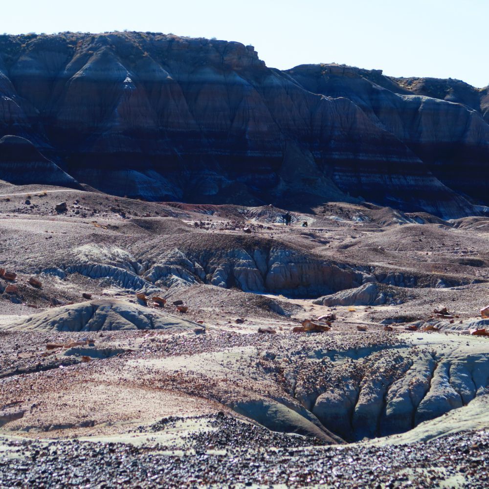 Petrified Forest and Painted Desert: 12.26.19