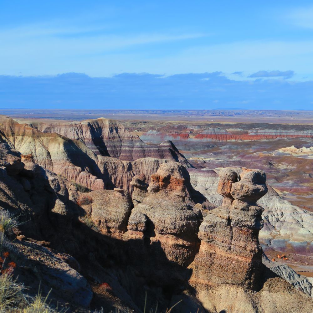 Petrified Forest and Painted Desert: 12.26.19