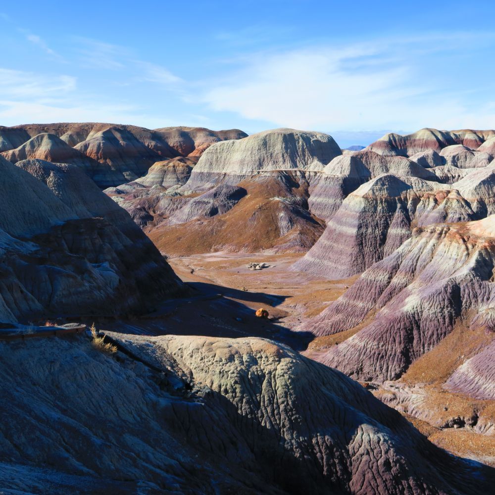 Petrified Forest and Painted Desert: 12.26.19