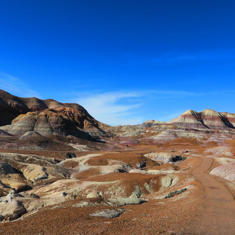 Petrified Forest and Painted Desert: 12.26.19